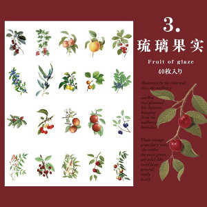 o NAV[ 傫 40 ϐ  V[ ԕ KN A t ʎ t[c   mg[ t[NV[ CXgV[ R[Wf  PET V[ W