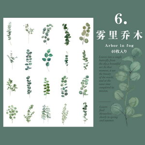 o NAV[ 傫 40 ϐ  V[ ԕ KN A t ʎ t[c   mg[ t[NV[ CXgV[ R[Wf  PET V[ W