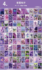 o 100 COXebJ[ lG  Ԍt F J[ ʐ^ tHgV[ 蒠fR R[W f  WNW[i fR[V fR V[ CX^ SNS 蒠 