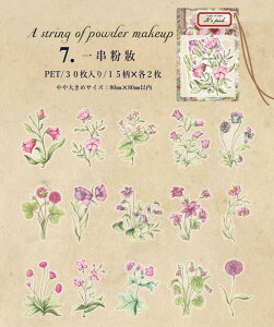 o g H XebJ[ 傫 V[ 30 NA PET  XebJ[ WNW[i 蒠 fR R[W f O fR[V ϐ g X}z DIY diy 