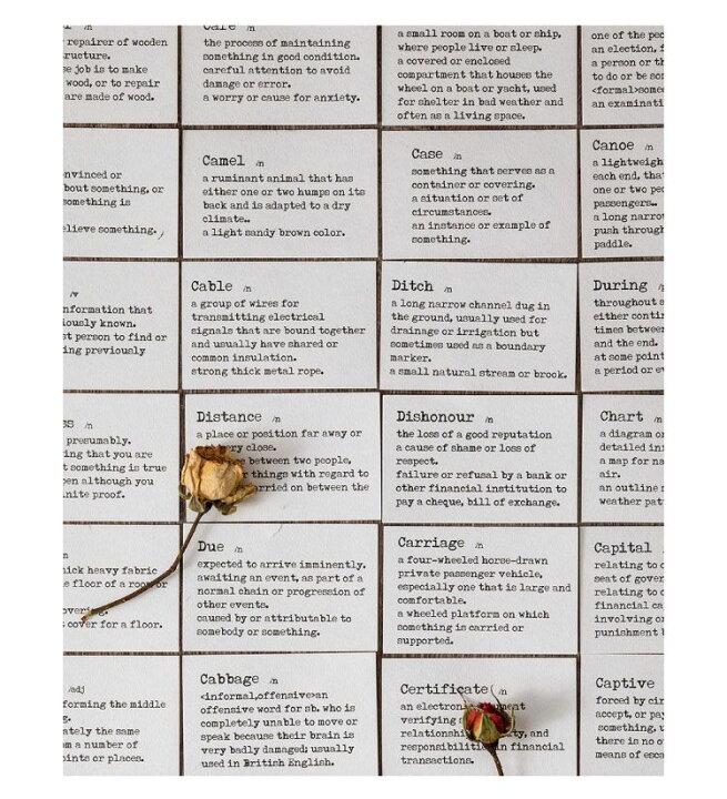 楽天市場 即日出荷 100枚いり英語 素材紙 ミニ英辞典ブック 海外 英語 英字 文字 素材 ヴィンテージペーパー レトロ デザインペーパー 全８種類 ミニブック 手帳デコ デコレーション アイテム アレンジ コラージュ 素材 ジャンクジャーナル 素材ペーパー 背景紙 英