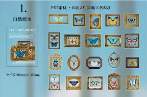 o NAV[ XebJ[ CO R[W f PETf XNbvubLO H   LmR ԕ [Y t g z COXebJ[ 40 V[ ϐ V[ o^