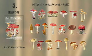 o NAV[ XebJ[ CO R[W f PETf XNbvubLO H   LmR ԕ [Y t g z COXebJ[ 40 V[ ϐ V[ o^