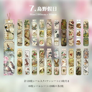 o COXebJ[ e v120 40V[V[gc V[ubN 蒠V[ 蒠fR R[W f WNW[i fRf Ao x re[W g