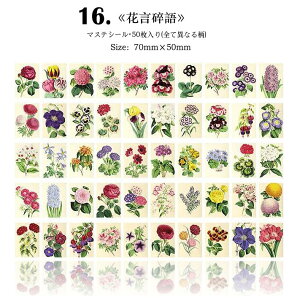 o Be[W V[ubN Ⴂ50/ CO R[W f XebJ[ g AeB[N XNbvubLO p V p }XeV[ fR[V A i 