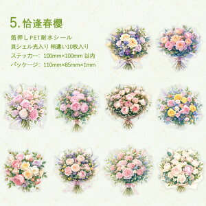 o  NAV[ 傫 LVF lV[ u[P ԑ   ̎q Ԑ R[Wf [Y KN O ԕ   ԑ CXgV[ R[W