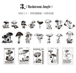 即日出荷 硫酸紙 海外ステッカー 2種類紙質 大きめ フレークシール 白黒◆40枚 全8種◆マステシール 海外シール シック モノクロ 手帳デコ コラージュ 素材 ジャンクジャーナル 携帯 飾り 素