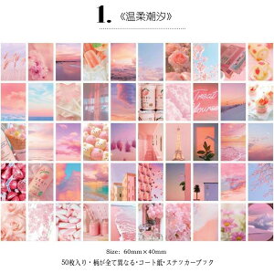 o COV[ 50Ԃ ~jV[ubNF8큟COXebJ[ 蒠fR fR[V R[W f bsO g  | ޗ J[ A i ʐ^ l i C