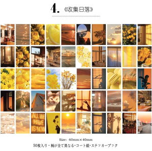 o COV[ 50Ԃ ~jV[ubNF8큟COXebJ[ 蒠fR fR[V R[W f bsO g  | ޗ J[ A i ʐ^ l i C