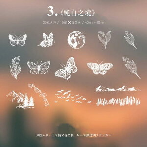 o NAV[  zCg [X XebJ[ t[NV[   r ԕ  p p g z R t[ t[ [X V[  30 PET ϐ CO R[W f | 