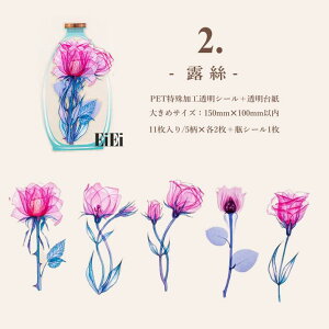 o NAV[ [WTCY  R[Wf  ԕ r V[ V[ V[ _ z  ` COXebJ[ 傫 fR[V PETV[ {g