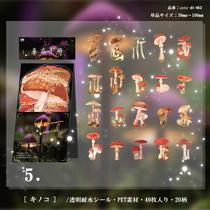 即日出荷 大きめ 透明シール 海外ステッカー 海外シール フレークシール 40枚入 クリア PET素材 ジャンクジャーナル 手帳デコ コラージュ 素材 デコシール 透明シール デコレーション ハンド