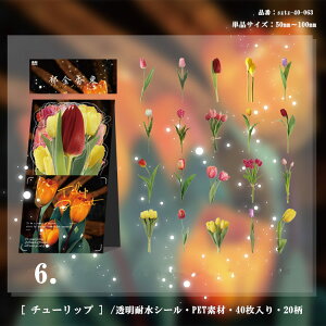 o 傫 V[ COXebJ[ COV[ t[NV[ 40 NA PETf WNW[i 蒠fR R[W f fRV[ V[ fR[V nh