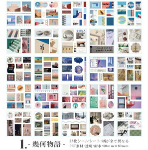 o 100ȏ ʐ^tBV[ tHgt[ XebJ[ e 蒠fR fR[V R[Wf V[V[g i ʐ^ PET V[ ϐV[ NA V[ lK