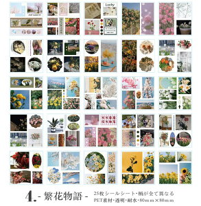 o 100ȏ ʐ^tBV[ tHgt[ XebJ[ e 蒠fR fR[V R[Wf V[V[g i ʐ^ PET V[ ϐV[ NA V[ lK