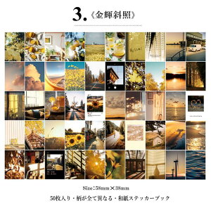 o COV[ }XLOe[vf 50Ԃ ~jV[ubN F6큟 a  COXebJ[ 蒠fR }Xe R[Wf g fRV[ bsO g  