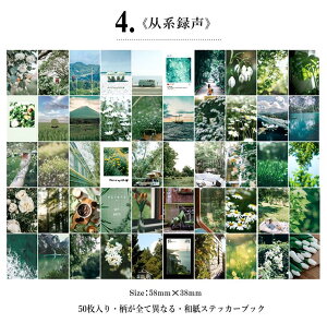 o COV[ }XLOe[vf 50Ԃ ~jV[ubN F6큟 a  COXebJ[ 蒠fR }Xe R[Wf g fRV[ bsO g  