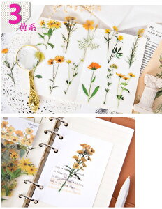 o COV[  t[NV[ R[W f COXebJ[ PET NAV[ A t[ t hCt[ `[bv WNW[i fR[V |  