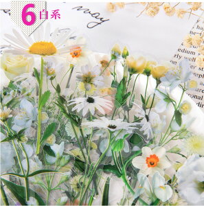 o COV[  t[NV[ R[W f COXebJ[ PET NAV[ A t[ t hCt[ `[bv WNW[i fR[V |  