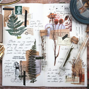 o COXebJ[ V[ NA PETf WNW[i 蒠fR R[W f fR[V fR A  t[ t ؂̎ A ǂ񂮂 hCt[ t 