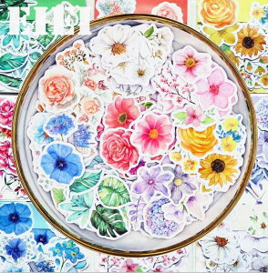 o COXebJ[  t[ COV[ 45 F8큟F 蒠 fR R[W f WNW[i CX^O V[ gV[ CX^ tHgt[