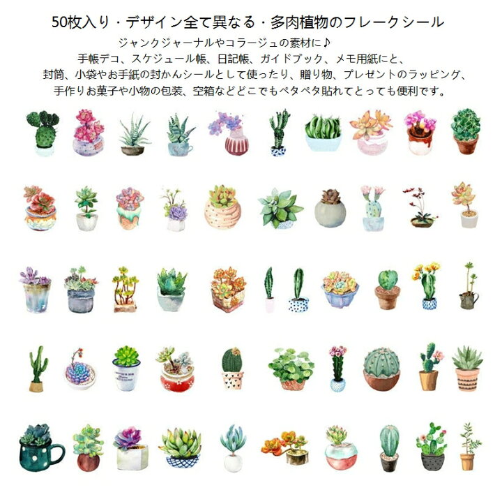 楽天市場 即日出荷 多肉植物 フレークシール 50枚 イラストステッカー シール ビンテージ サボテン アンティーク コラージュ レトロ おしゃれ かわいい 観賞植物 鉢植え 図鑑 種類 手紙 ラベル 日記 文房具 箱入り ジャンクジャーナル デコ素材 コラージュ
