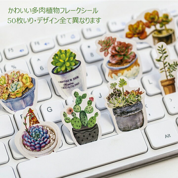 楽天市場 即日出荷 多肉植物 フレークシール 50枚 イラストステッカー シール ビンテージ サボテン アンティーク コラージュ レトロ おしゃれ かわいい 観賞植物 鉢植え 図鑑 種類 手紙 ラベル 日記 文房具 箱入り ジャンクジャーナル デコ素材 コラージュ