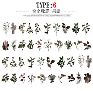 o COXebJ[ 傫 t[NV[ NAV[ 40 PET V[ R[Wf A  t[ t ʎ t[c zCg ubN VN mN WNW