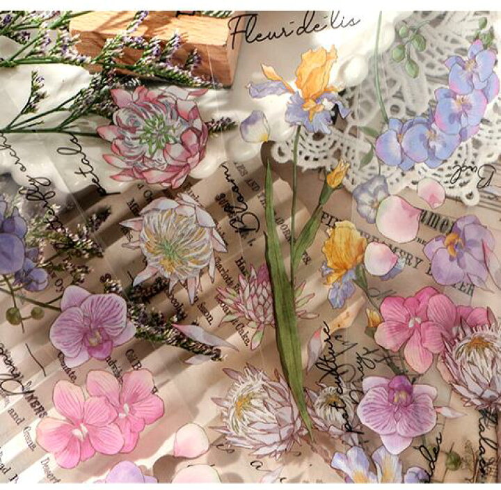 海外素材紙 メモ No2 2 コラージュに ジャンクジャーナル ステッカー等たっぷり詰め合わせ 手帳 日記 植物 自然 花 蝶々 お買得 ステッカー等たっぷり詰め合わせ