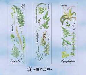 o COXebJ[ NA V[V[g PETf WNW[i R[Wf 蒠 fR fR[V   hCt[ V_ A {g  `E t V