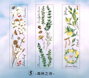 o COXebJ[ NA V[V[g PETf WNW[i R[Wf 蒠 fR fR[V   hCt[ V_ A {g  `E t V