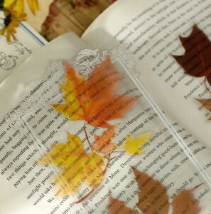 o V[ 傫 t[NV[ R[Wf fR[V COXebJ[ WNW[i [Y ^̉ r r NA PETf A  t[ t gt t