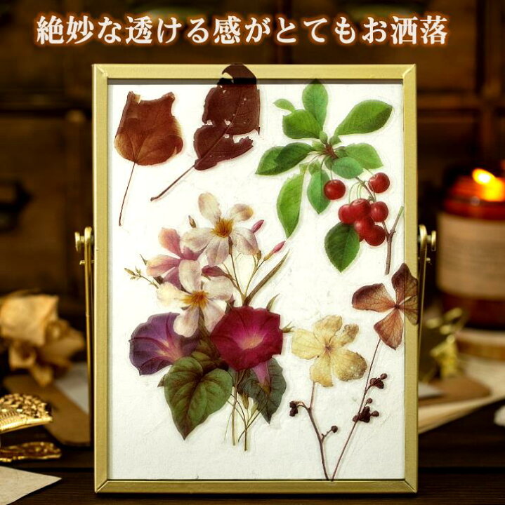 楽天市場 即日出荷 海外 大きい フレークシール ステッカー クリア Pet素材 透けるシール 透明シール 瓶 ボトル 植物 花 フラワー 松 葉 果実 フルーツ 木の実 きのこ マッシュルーム モノクロ ジャンクジャーナル 手帳デコ コラージュ素材 デコレーション おしゃれ 楽天市場 即日出荷 海外 大きい フレークシール ステッカー クリア Pet素材 透けるシール 透明シール 瓶 ボトル 植物 花 フラワー 松 葉 果実 フルーツ 木の実 きのこ マッシュルーム モノクロ ジャンクジャーナル 手帳デコ コラージュ素材 デコレーション おしゃれ