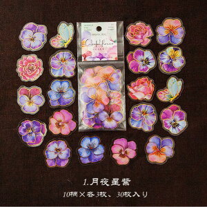 o  ؂₩ Ԃт ԕ ϐ NAV[ 30 傫 R[W f  KN [Y t[NV[ WNW[i fR[V 蒠 V[ PET  ϐ 