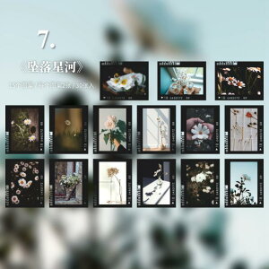 o b lKtB V[ XebJ[ t[NV[ PET R[Wf 蒠 L X}z fR fR[V 30 V[ COV[ lK V[ t[  A ʐ^ 