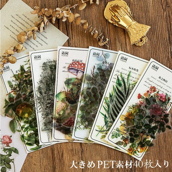 即日出荷 大きめ 40枚 耐水 PET シール クリアシール 海外 ステッカー 透明シール コラージュ素材 薔薇 植物 花 フラワー 葉 果実 フルーツ 木の実 きのこ 透明 白黒 線画 イラスト シール ジャンクジャーナル コラージュ 素材 デコレーション フレークシール 海外シール