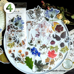 o }XeV[  60 傫 R[W f V[ t[NV[ ԕ S[h mg[ mN F  t[ R[Wf KN V[ WNW[i 