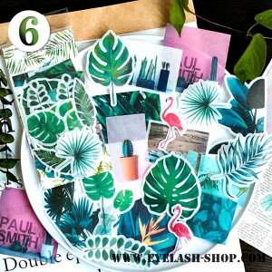 o }XeV[  60 傫 R[W f V[ t[NV[ ԕ S[h mg[ mN F  t[ R[Wf KN V[ WNW[i 