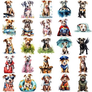 [   XebJ[  V[ 킢 50 傫 CXgXebJ[ X|[c R[M[ _bNX nXL[ pO LoA LN^[ XebJ[ R[W f 