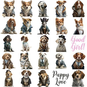 [   XebJ[  am V[ 킢 50 傫 CXgXebJ[ X|[c R[M[ _bNX nXL[ pO LoA LN^[ XebJ[ R[W 