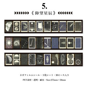 o b lK tB V[ XebJ[ V[V[g 30s[X PET R[W f 蒠 fR fR[V  CO V[ X^[`X lK ʐ^ i i X̗d O P