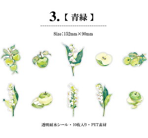 o NAV[ 傫     S  z AWTC  CXg V[ R[Wf t[c ʕ ԕ PET ϐ XebJ[ XNbvubLO 