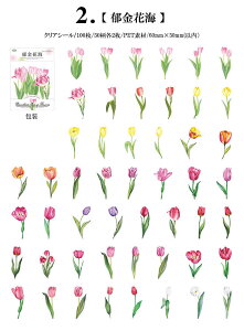 o NAV[ 10050 t[NV[  ԕ CO R[W f Zbg e t[ A KN [Y AWTC Ђ܂ t ϐ WNW[i fR[V