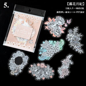 o I[XebJ[ NAV[ [X  V[ I[ V[ 12 R[W f 傫 WNW[i fR |  f [X  ͗l ԕ F 