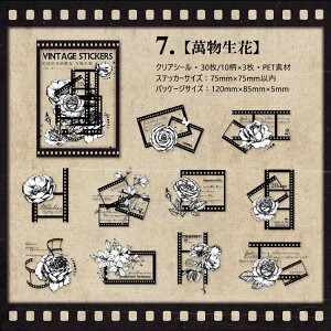 o NAV[ lK tB    傫 O l   ԕ  p  p g AJ XebJ[  mg[ ubN XNbvubLO R[W