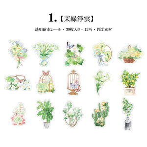 o NAV[ R[W f  V[ 30      C`S   r ϗtA F   F t[ ϐ V[ t[NV[ XNbvubLO _