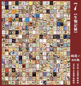 o 400400 e ~jfގubN ّf CO m  gy f _ 200{Ȃ200 R[Wf  l A[g F  i ʐ^ A Be[W