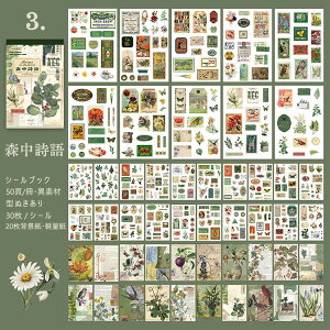 [ V[ubN 50/ ^ e ȃXy[X 傫 }Xe XebJ[ubN 50 V[V[g R[Wf lV[ G G  O l  j am  