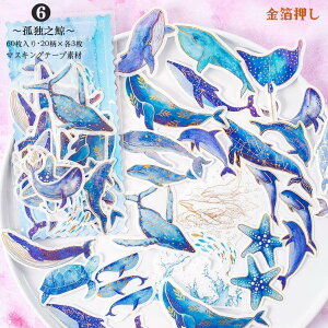 o 傫 60  ┓ ̎q  t[NV[ R[Wf 蒠fR fRV[ }XeV[   NW Cm l  Vg ̉ql _  H 肢 