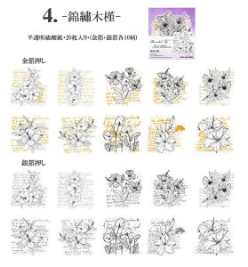 o  V[ gyf V[ 傫 Fh  ┓  R[W f V[ [Y z KN ԕ ԑ p p _  mg[ t[N